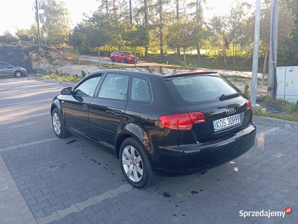 Audi A38P 19 TDI105 2005 r 197 5 DrzwiSuper stan diesel