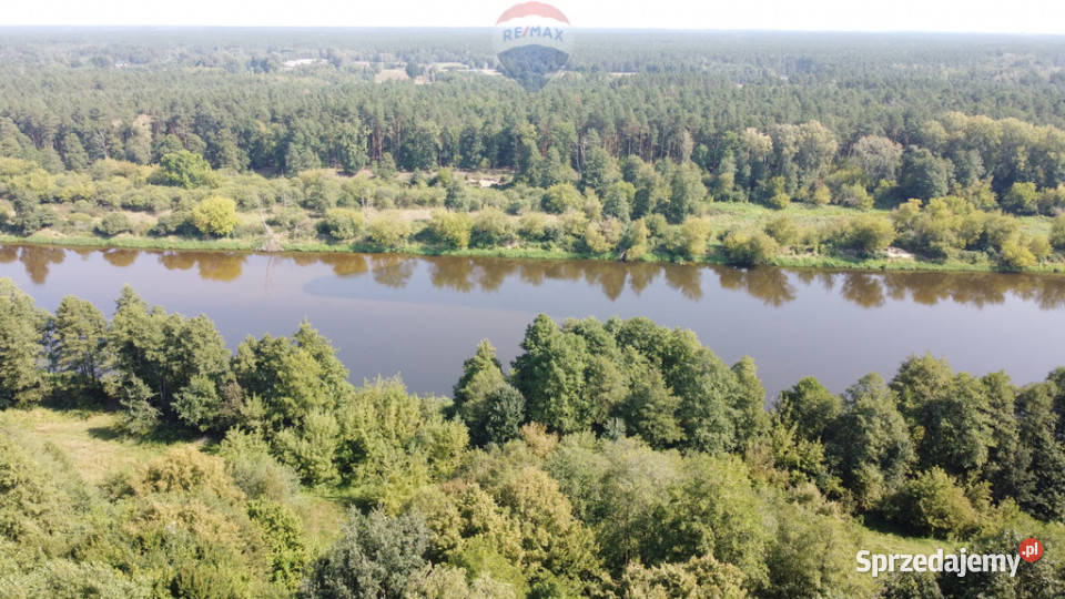 Działka budowlana 5000 m Różan Narew budowlana mazowieckie Paulinowo