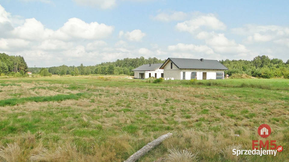 Grunt 10400m2 Zalesiany 59m podlaskie