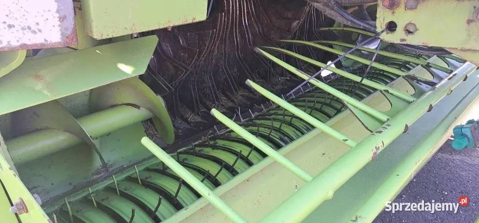 Claas Rollant 255 Prasa beluąca Szołtany