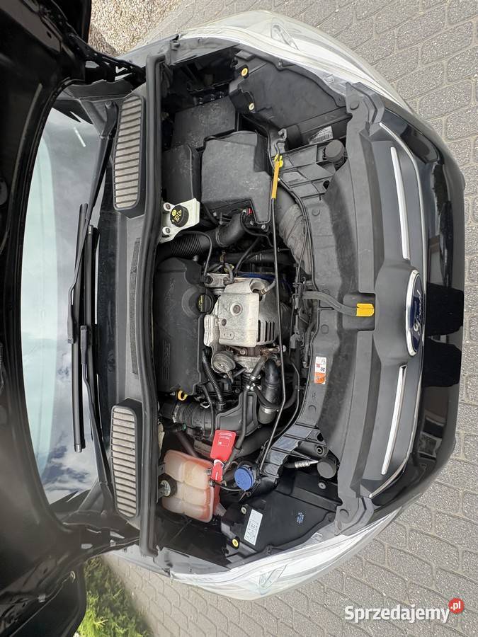 Ford C 10 EcoBoost 101 światła przeciwmgielne