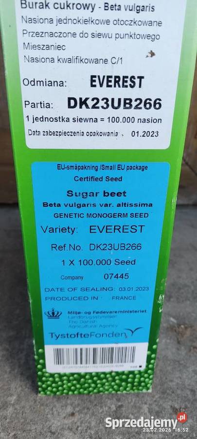Nasiona buraka cukrowego janetka hunor Turobin