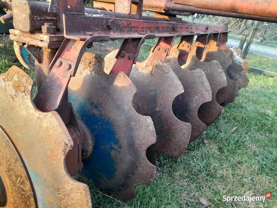 Talerzówka 2x8 Ulan-Majorat