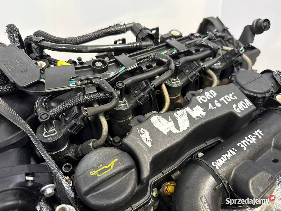 SILNIK G8DA Ford Focus II MK2 C C 16 TDCI 109 Chełm