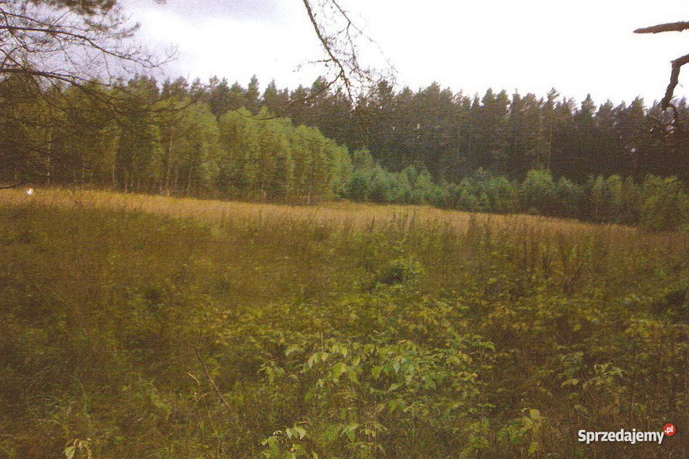 Kołodno Królowy Most Kołodno