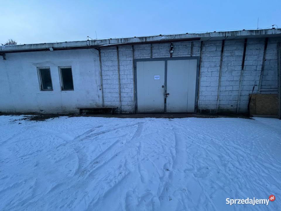Wynajem hali