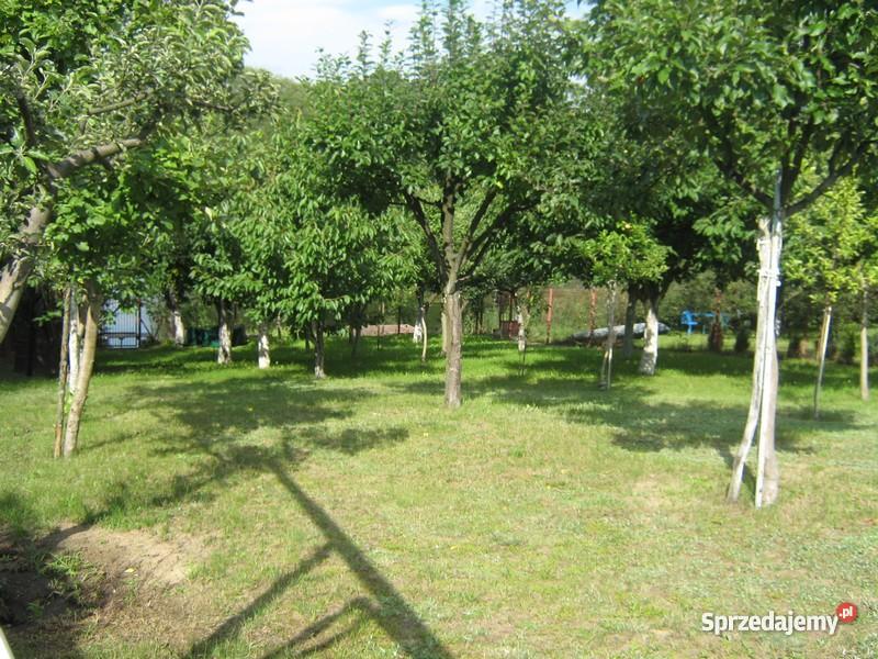 Działka z bezpośrednim dojściem do jeziora Nowe Rumunki