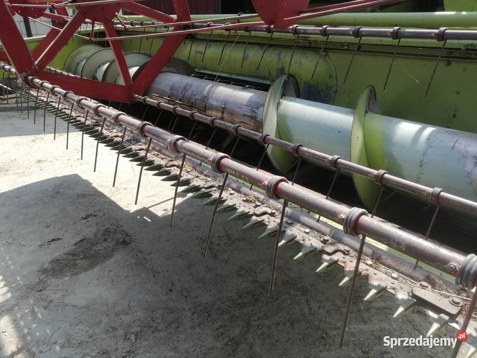 Claas Mercator Senator nieuszkodzony świętokrzyskie Nieskurzów Stary