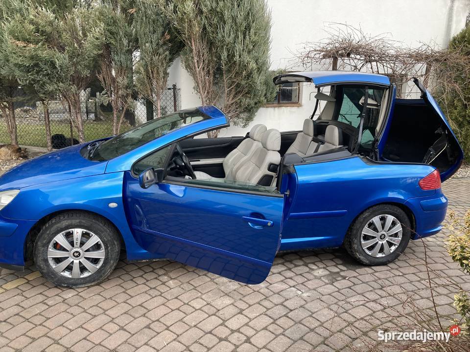 Peugeot 307 CC benzynagaz 2004 19973 136 odtwarzacz DVD Konin