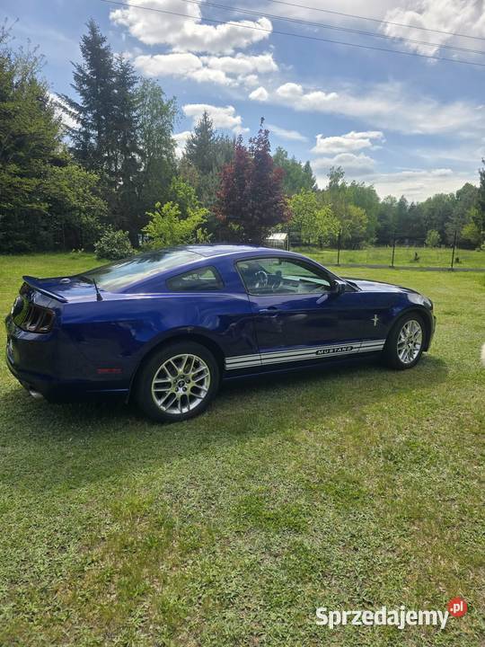 Ford Mustang Premium Pony Mustang Łódź sprzedam