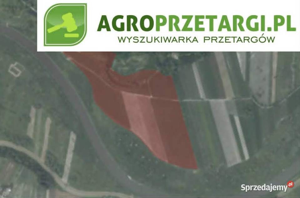 Dzierżawa 1978 ha gruntu rolnego Proszowice sprzedam