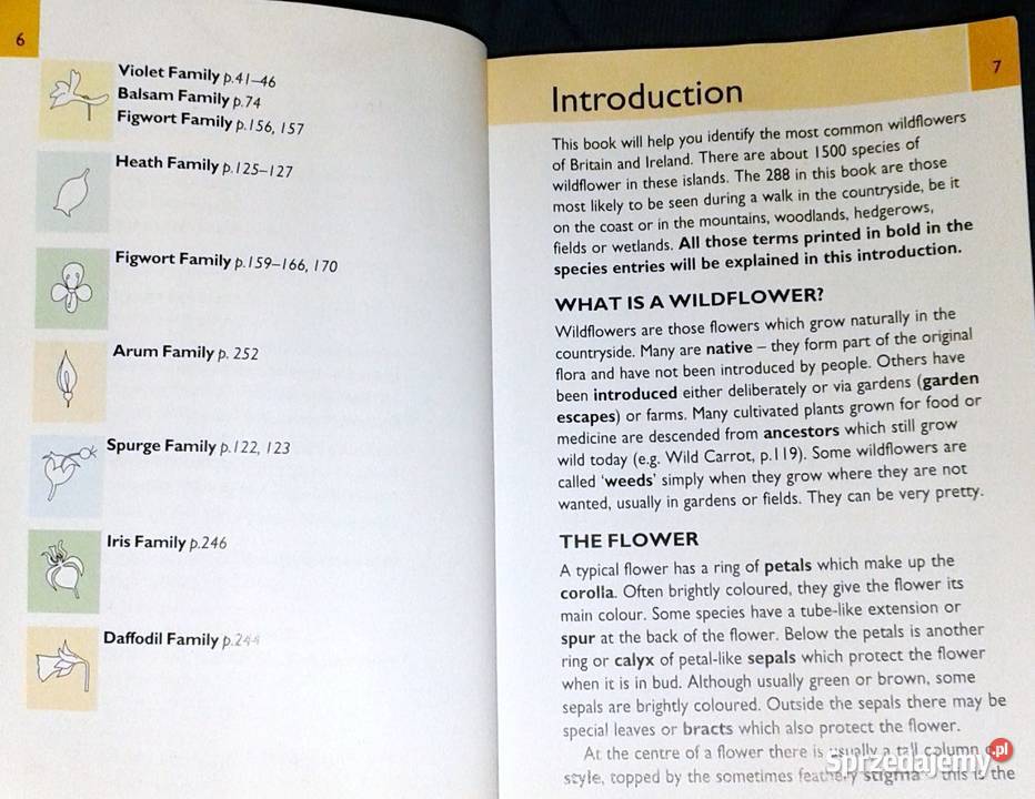 Wild flowers Martin Walters Collins Gem Chełm