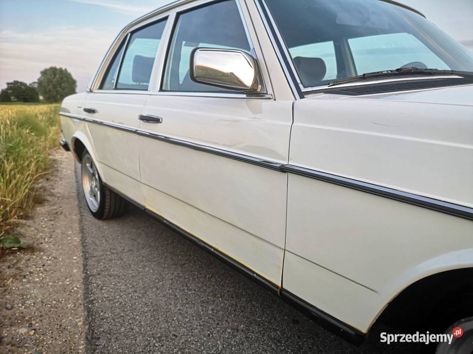Mercedes W123 240D Kiernozia