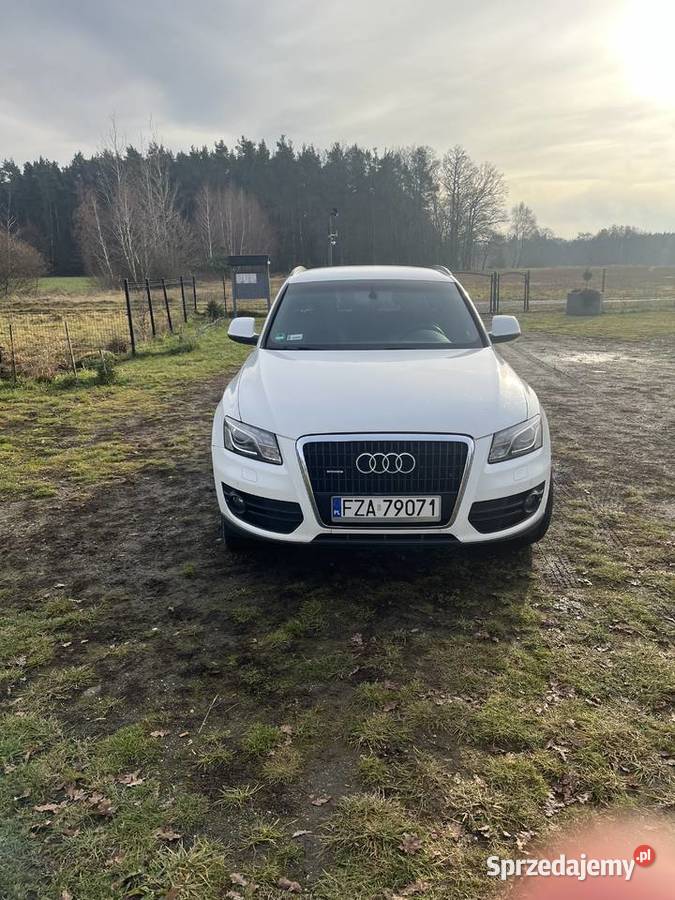 Audi Q5 30 quatro