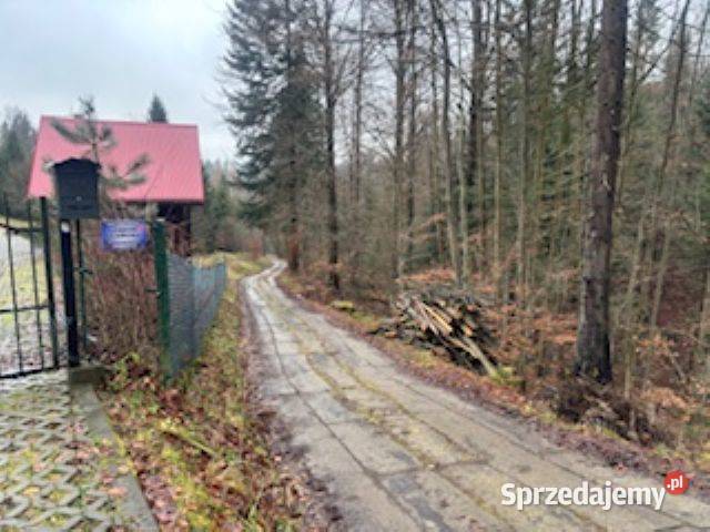 Syndyk Sprzeda udział 12 działka I Przetarg Jaworzynka