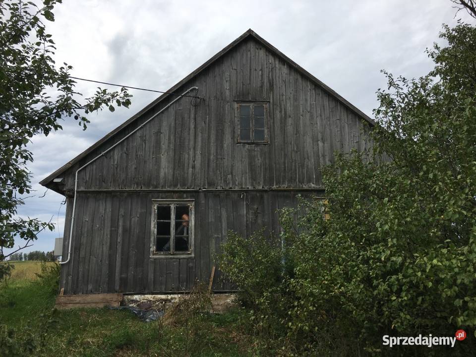 Działka rolna siedliskowa Olszanka