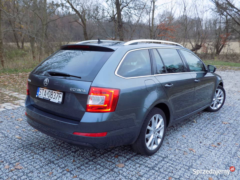 Octavia III 1 rej marzec 2015 koła zimowe