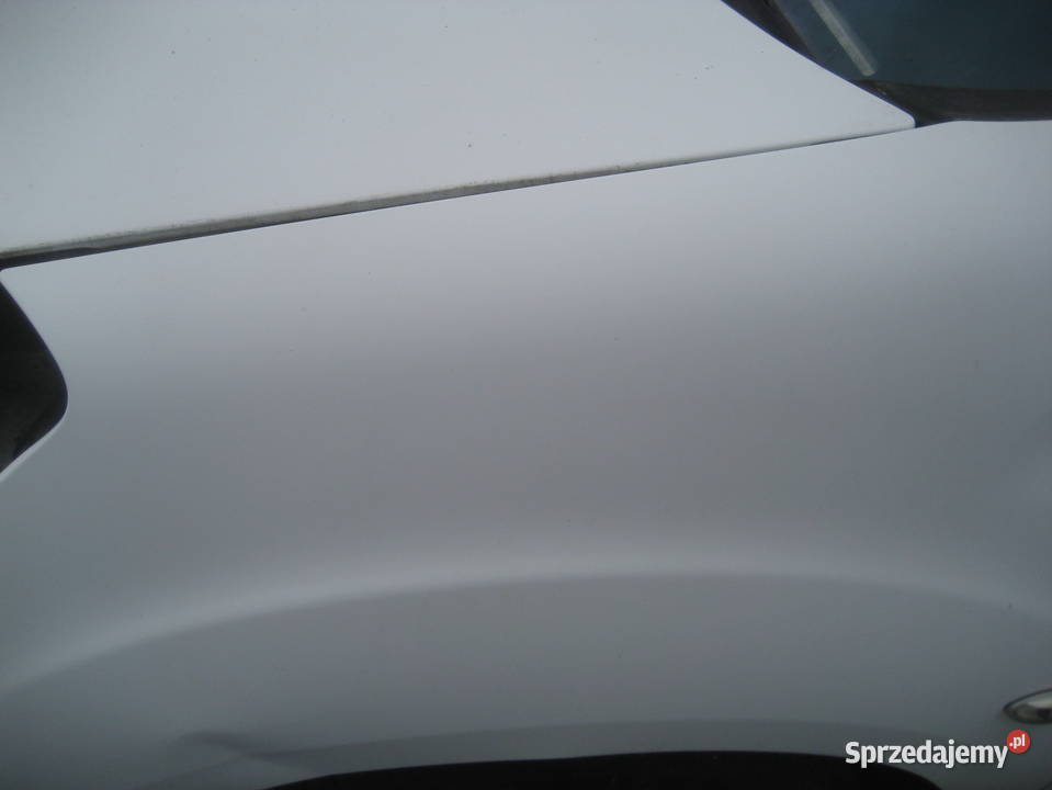 citroen berlingo III 0812r błotnik przód lewy osobowe Rakoniewice sprzedam