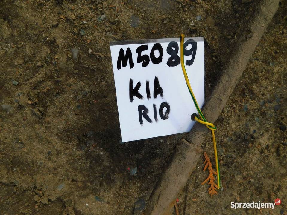 kia rio maglownica przekładnia M5089 WYSYŁKA Pozostałe Żory
