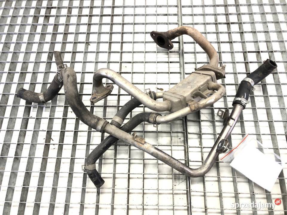 MAGISTRALA WODY KIA RIO IV 12 84 podkarpackie