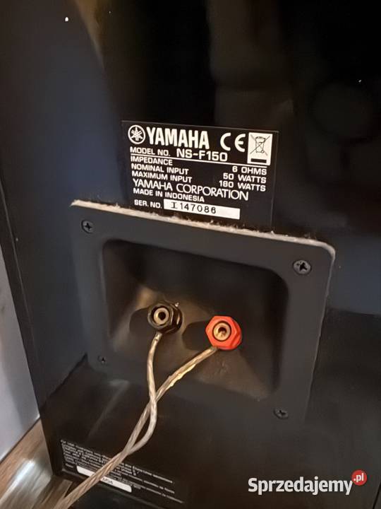 Kino domowe Yamaha Skarżysko-Kamienna