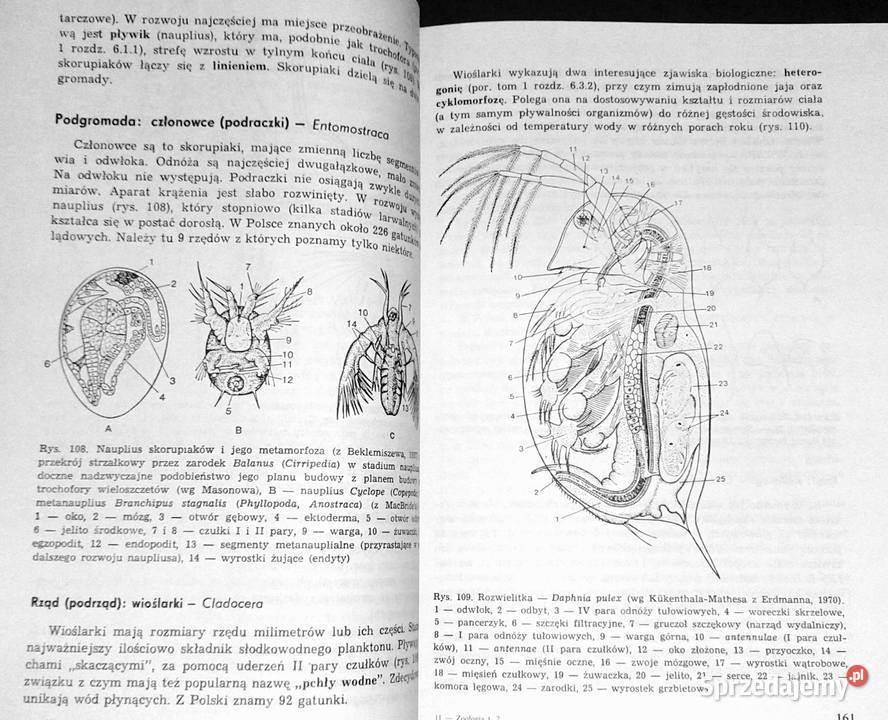 Zoologia Tom 12 Cęść ogólna Część systematyczna Pozostałe Chełm