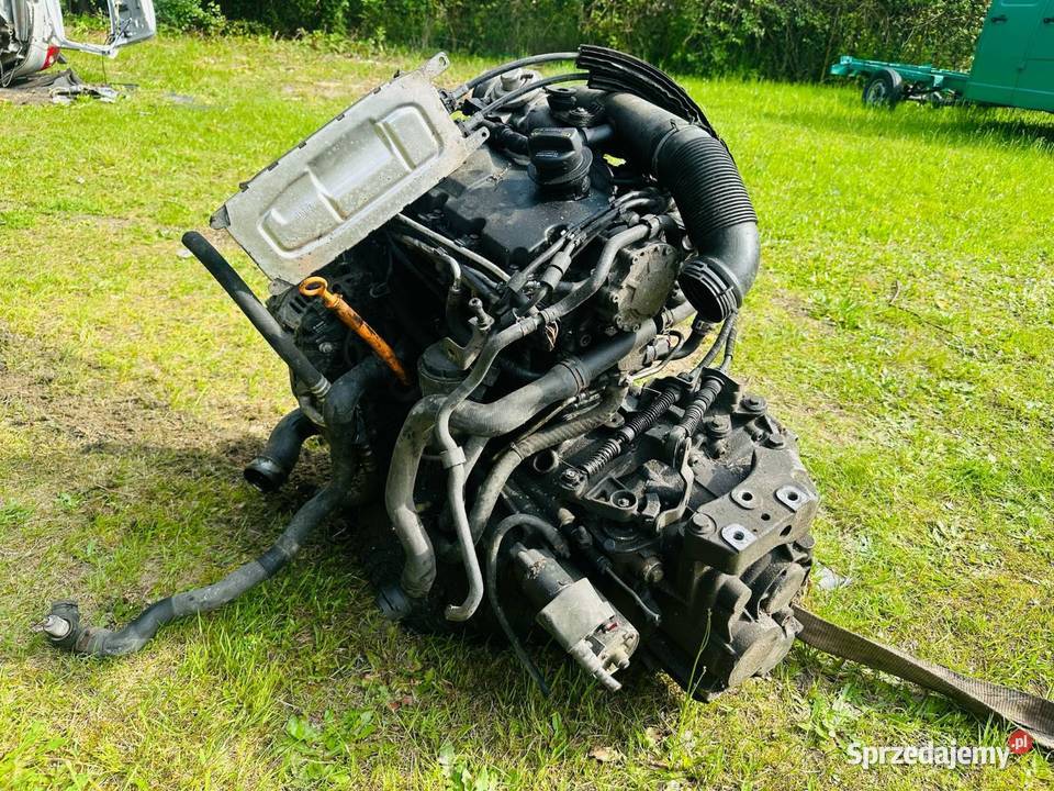 Silnik 19 TDI bxe skrzynia biegów 6 osprzęt Silniki kompletne Mędrzechów