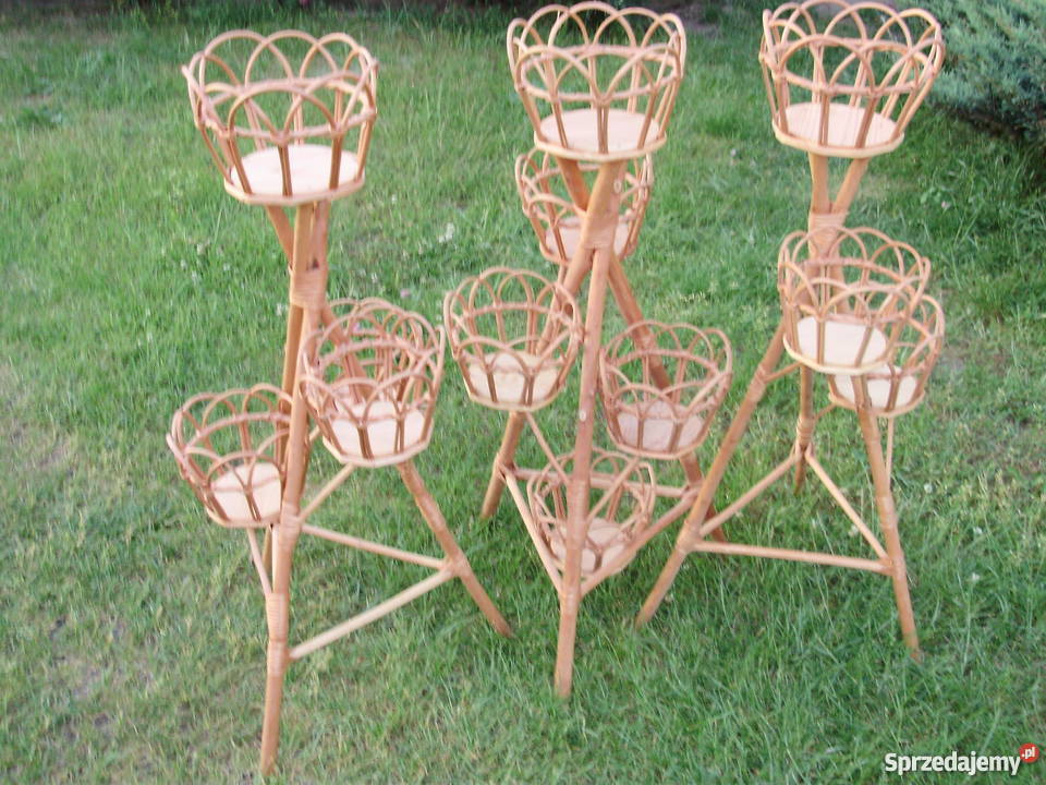 kwietniki wiklinowe podkarpackie Nowa Sarzyna