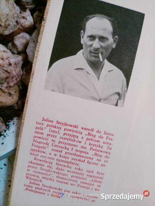 Imię własne Stryjkowski książki Warszawa