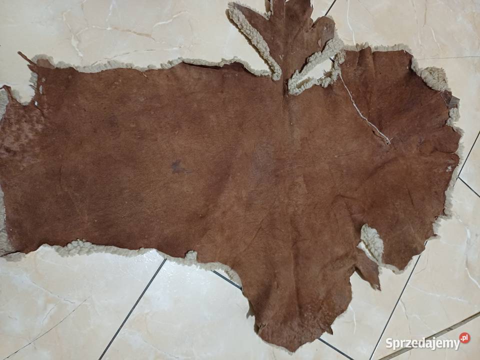 Skóra owcza różne wymiary krótko strzyżone Siedlce sprzedam