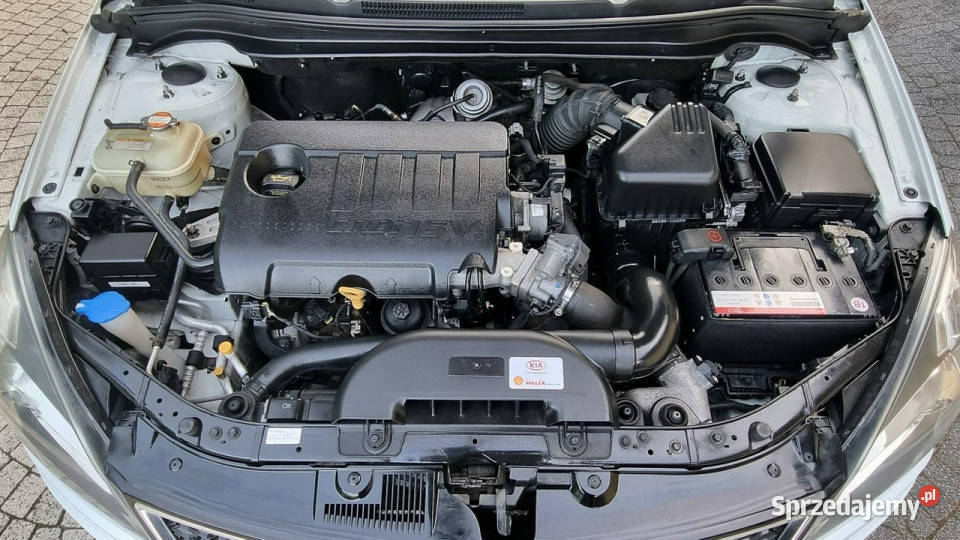Kia Ceed Lift Navi Kamera LED 16 115 GWARANCJA autoalarm