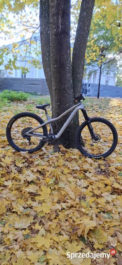 Dartmoot hornet pro Białystok