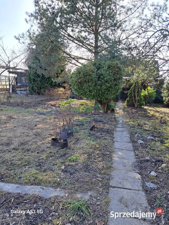 Działka rekreacyjna ROD Witaminka Oświęcim 300m2 Sprzedaż