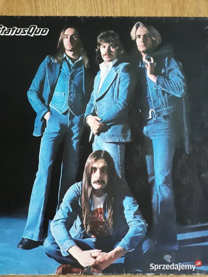 Płyty winylowe kolekcja rock rock Rzeszów sprzedam