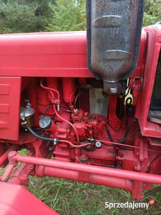 Władimirec Kaszewice sprzedam