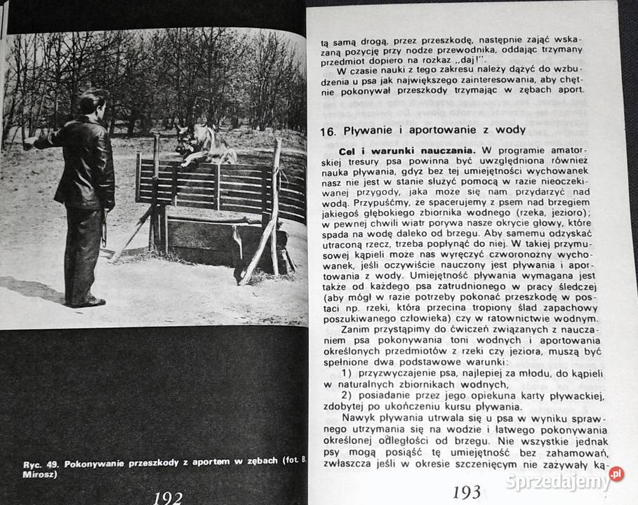 Amatorskie szkolenie psów Antoni Brzezicha Książki i Podręczniki