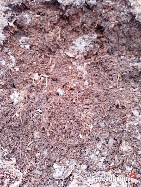 Próchnica Biomasa Zrębka Ziemia Kwaśna pod Dom i Ogród Oświęcim