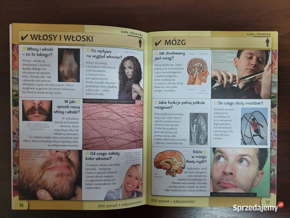 300 pytań i odpowiedzi Ciało człowieka Tarnowskie Góry