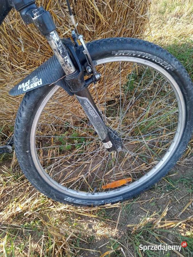 Rower trek Eseries Górskie, MTB Gdańsk