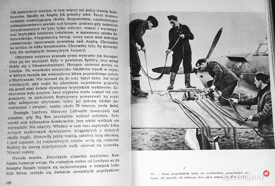 Dywizjon 303 Arkady Fiedler lubelskie Chełm sprzedam