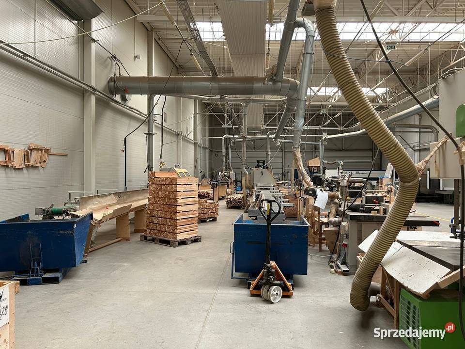 Syndyk sprzeda zorg część przedsiębiorstwa Krzywaniec sprzedam