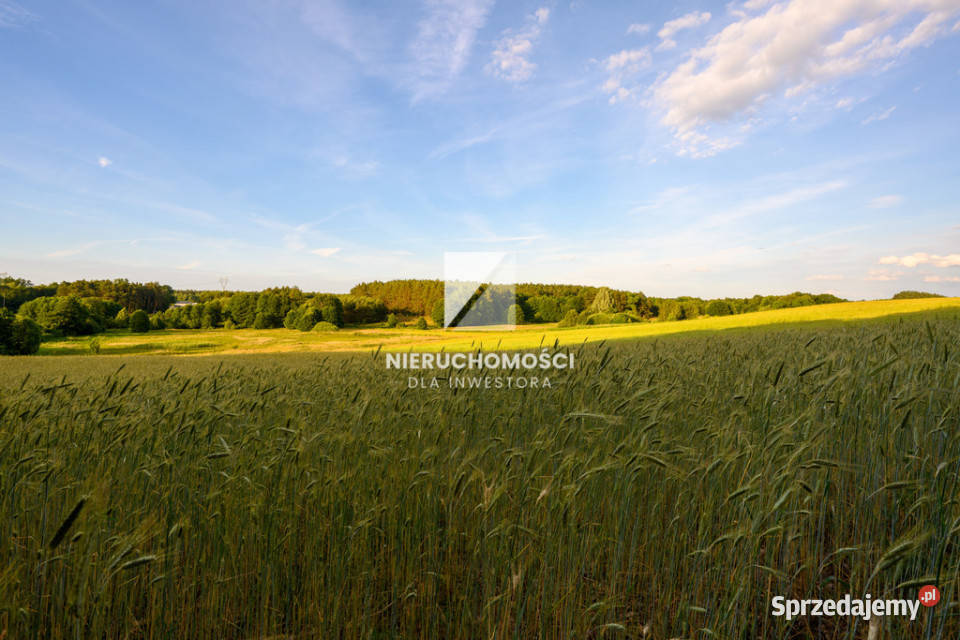 Kameralne działki budowlane w Kłodawie 1725 ar Kłodawa