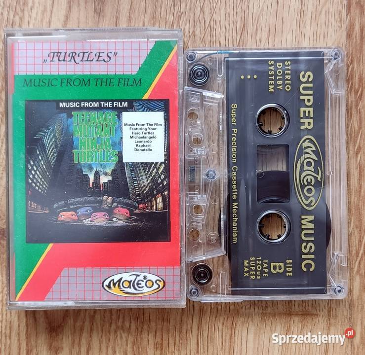 Wojownicze Żółwie Ninja Teenage Mutant Ninja