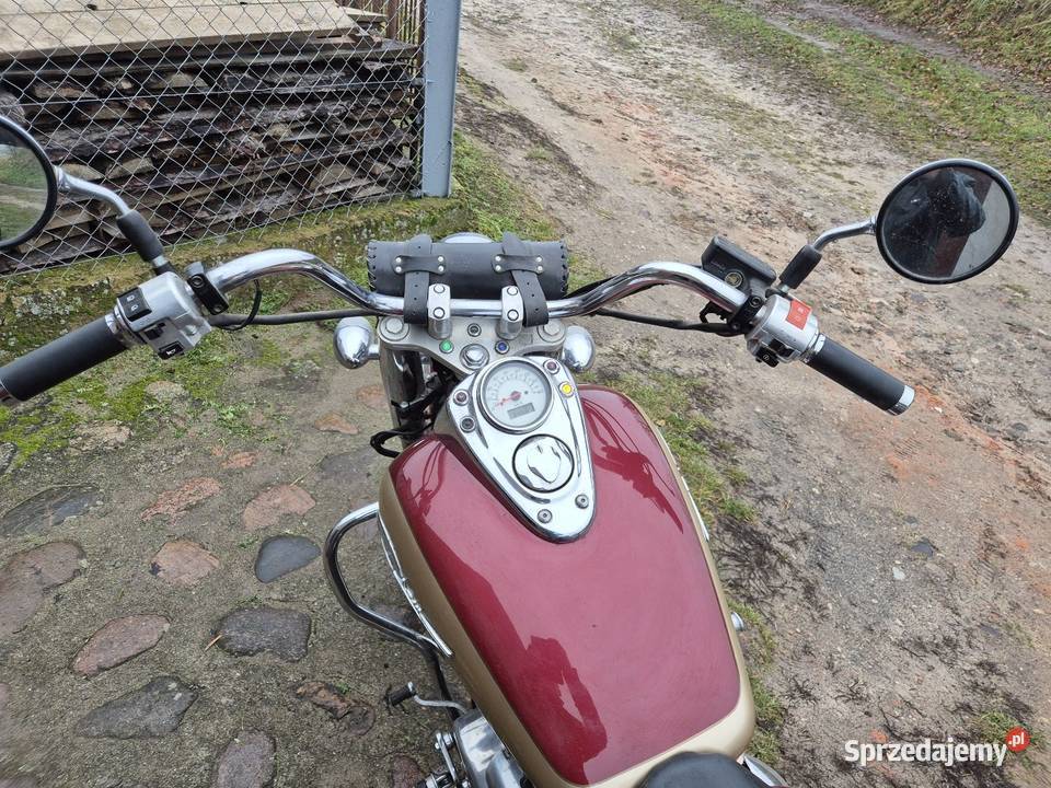 Honda Shadow 750 Gulcz
