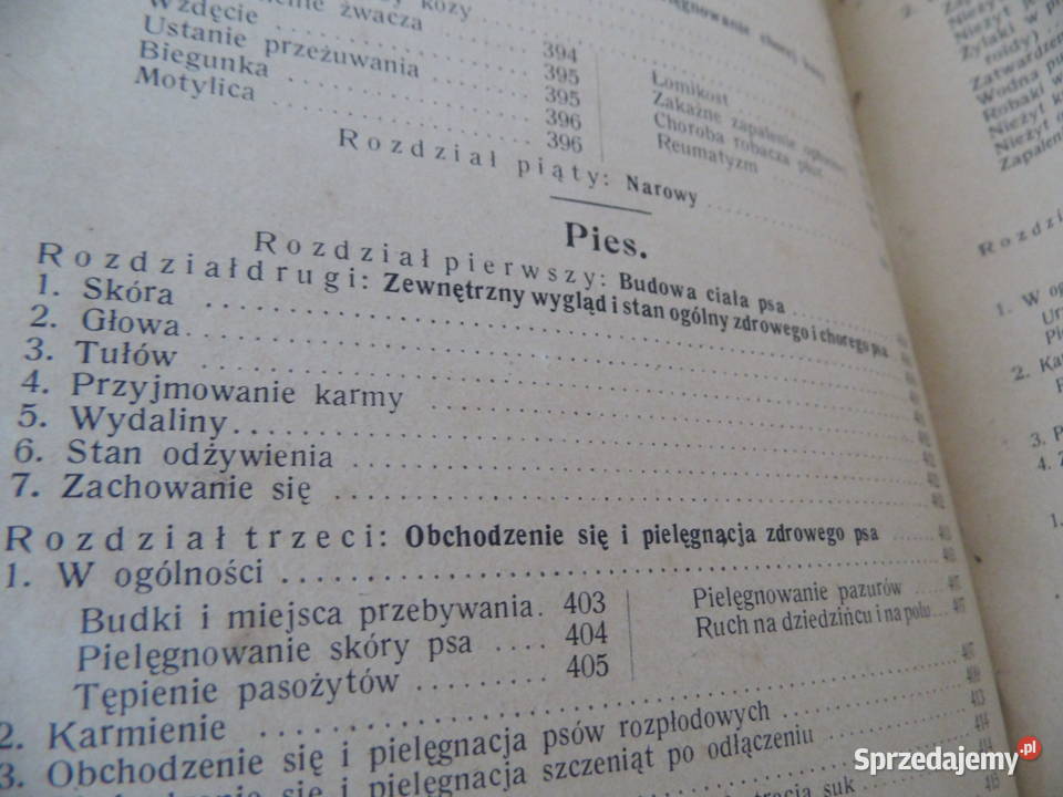 Zwierzęta domowe Poradnik przedwojenny wydania Radzewice