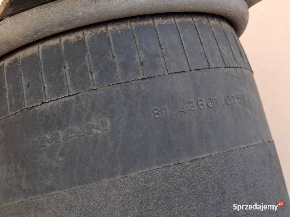 MAN TGX TGS TGA PODUSZKA MIECH ZAWIESZENIA Bieleń