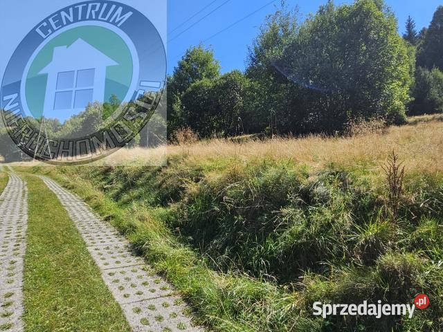 Grunt PiwnicznaZdrój 2000m2 Piwniczna-Zdrój