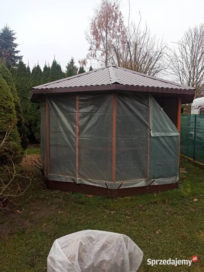 Świergotki 2025 podkarpackie Przemyśl sprzedam