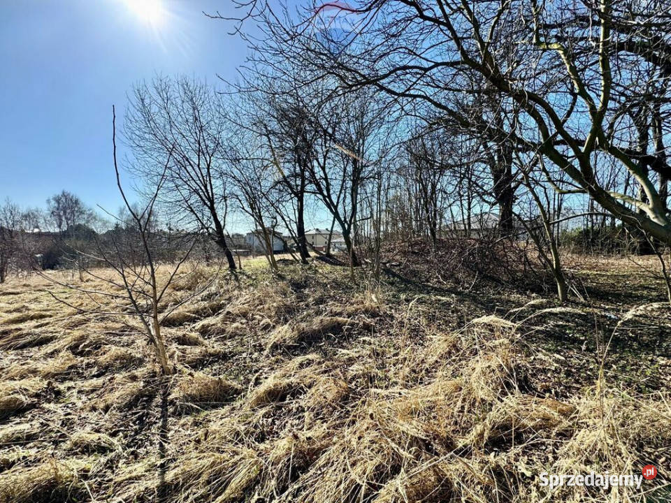 Działka budowlanousługowa Radlin Biertułtowy 38m