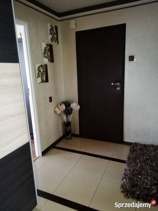 Sprzedam mieszkanie 55m2 Badowo-Dańki